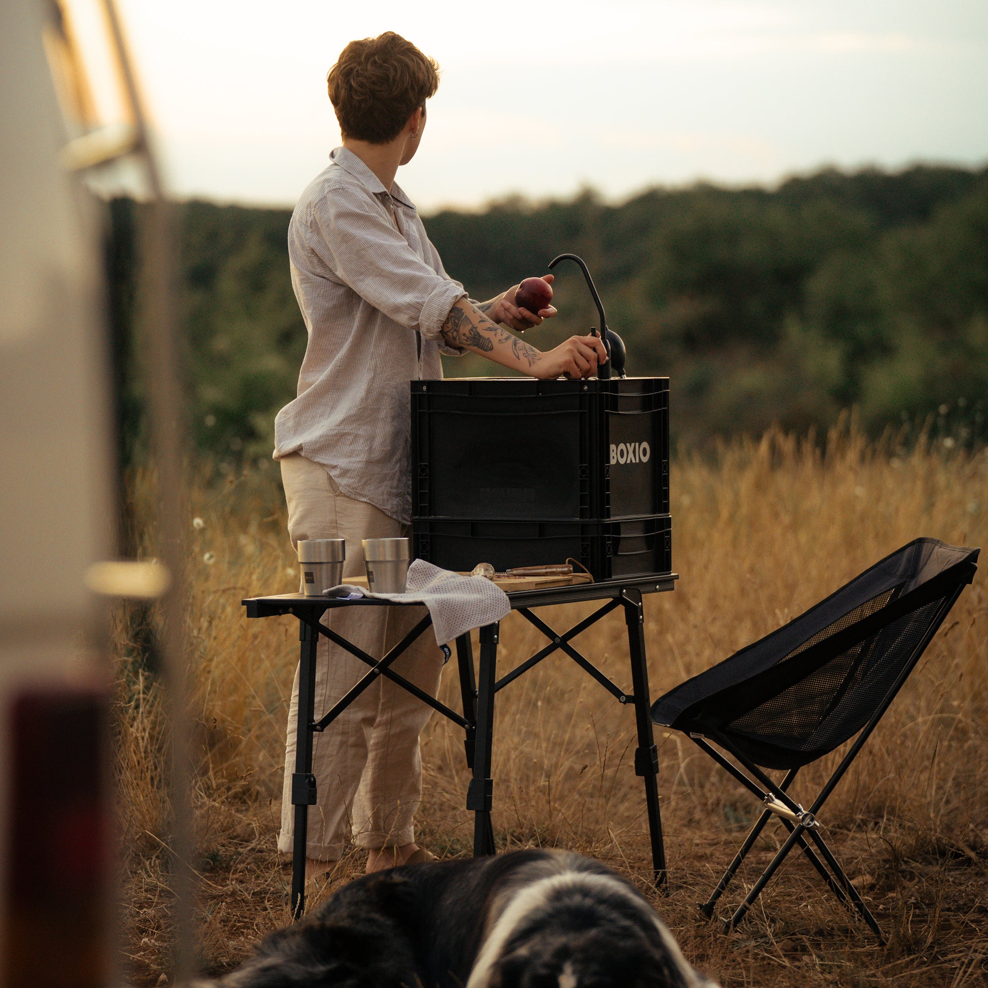 BOXIO TABLE PLUS I Table et étagère 2-en-1